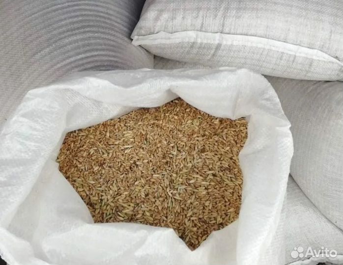 Ячмень, пшеница в мешках