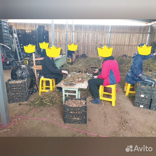 Инвестируйте в действующий бизнес