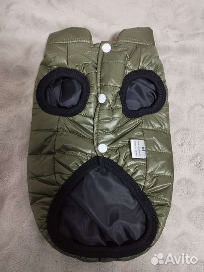 Для собачки: курточка и ошейник светящийся