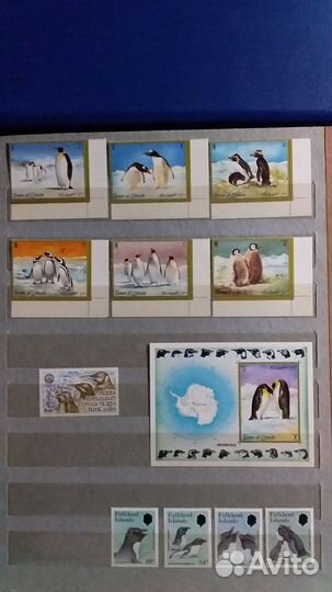 Почтовые марки 