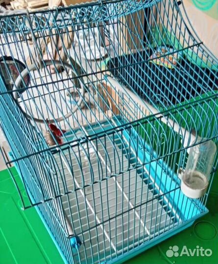 Клетка для попугая