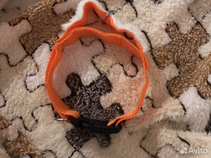 Ошейник для собак ручной работы