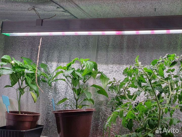 Фитолампа для растений