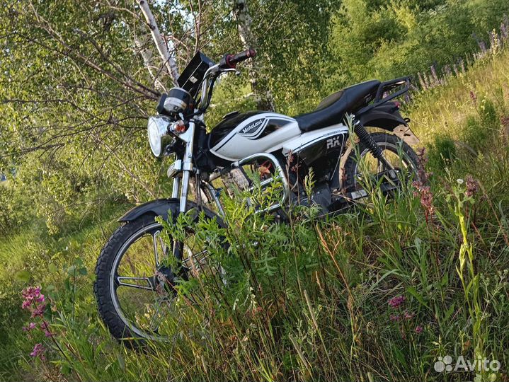 Alpha RX11
