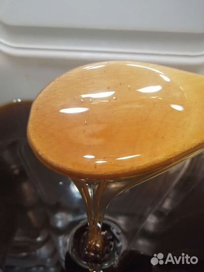 Мед Горный с дягилем