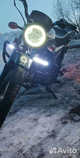 Продам альфу