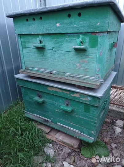 Улей. Рамки