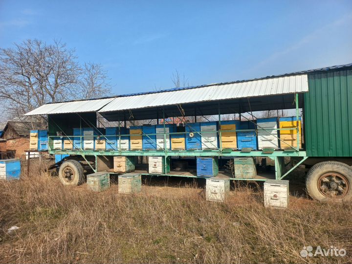 Пчелоприцеп пасека ульи