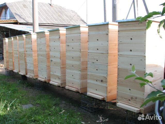 Улей двухкорпусный Дадана