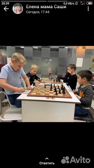 Тренер по шахматам