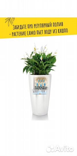 Кашпо с автополивом Lechuza rondo 40, Германия