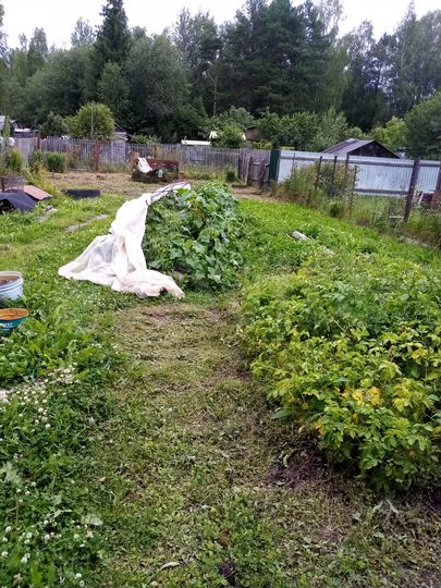 Участок 2 сот. (СНТ, ДНП)