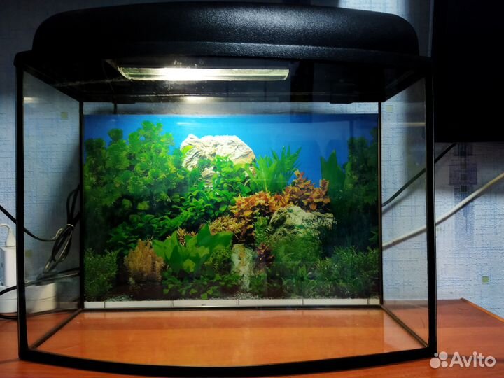 Аквариум, обогреватель, аэратор, фильтр