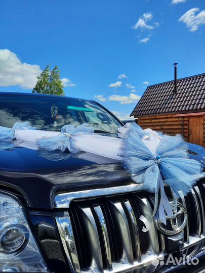 Свадебные украшения на машину аренда