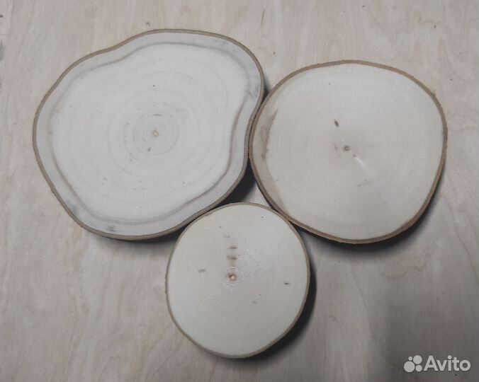 Спилы дерева разных пород