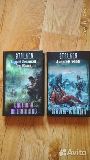 Книги серии Сталкер