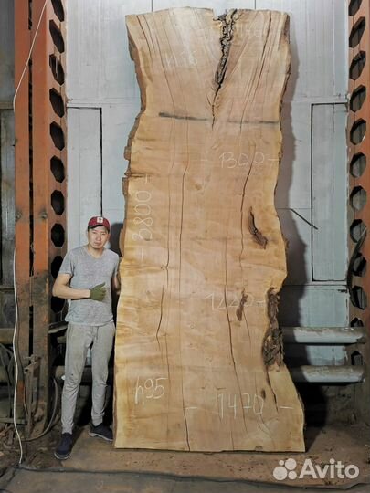 Слэбы из дерева карагач, бук, граб, тополь