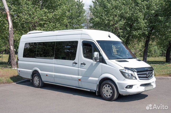 Аренда автобусов для свадеб и туристических групп