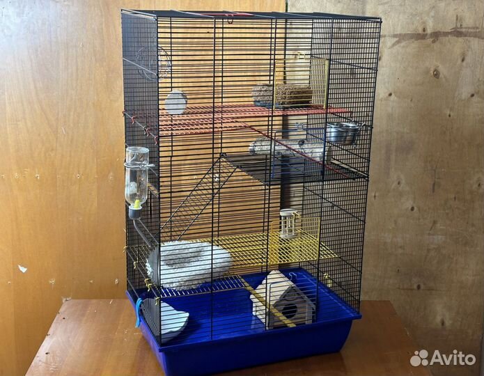 Большая клетка для крыс дегу грызунов