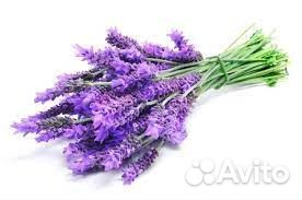 Сироп Агробар лаванда 1 литр