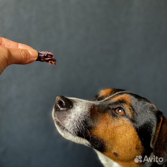 Лакомство для собак