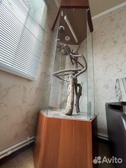 Террариум для рептилий