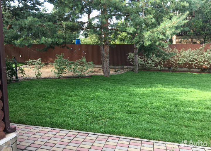 Рулонный газон