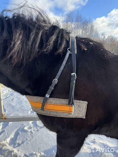 Шорки на лошадь и на крупную пони