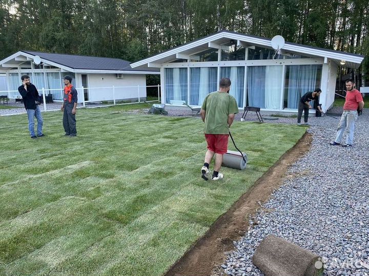 Качественный газон спортивный