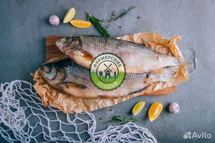 Рыба северная Язь Щука Щекур Мохтик Лещ Сырок