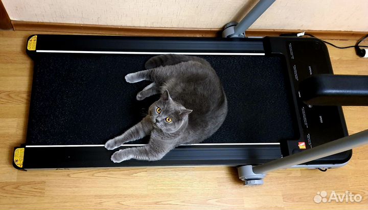 Беговая дорожка электрическая