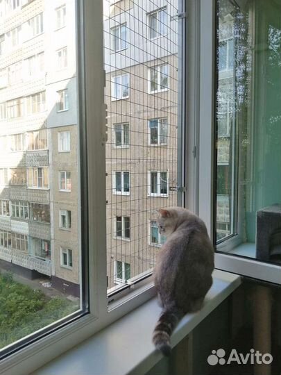 Кошачий балкон и решётка антикошка