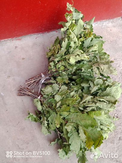 Банные веники оптом