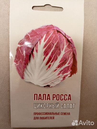 Рассада разных овощей и бахчевых
