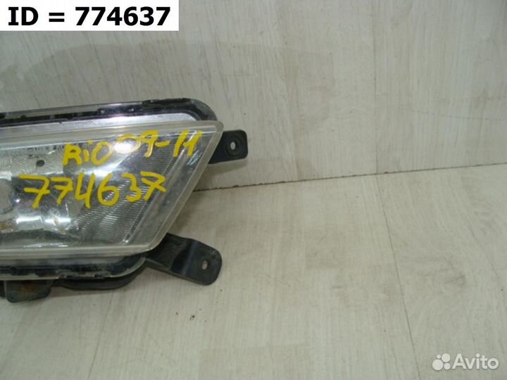 Птф передняя правая Kia Rio