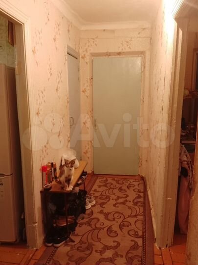 3-к. квартира, 53,5 м², 2/2 эт.