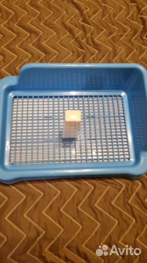 Лоток туалет для собак