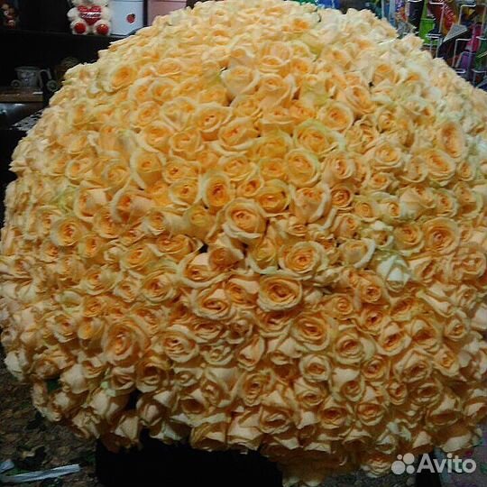 Роза крем-цвет- 50см-101шт-за 4000 Доставка по крд