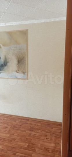 3-к. квартира, 67 м², 2/9 эт.