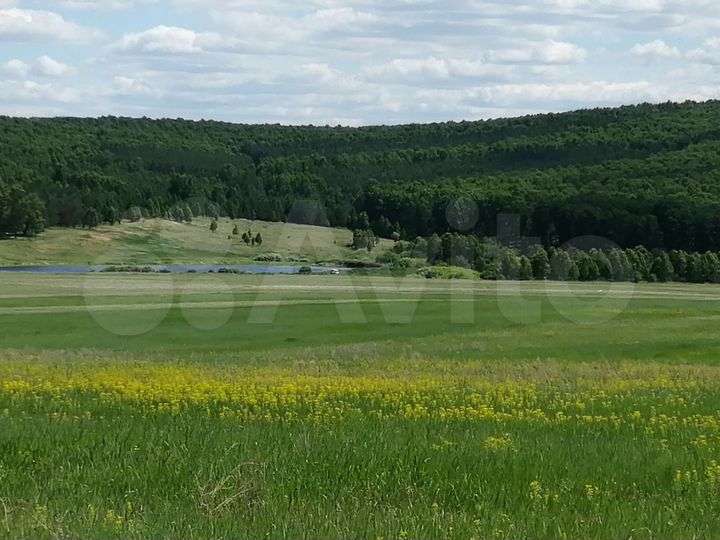 Участок 7,3 га (СНТ, ДНП)