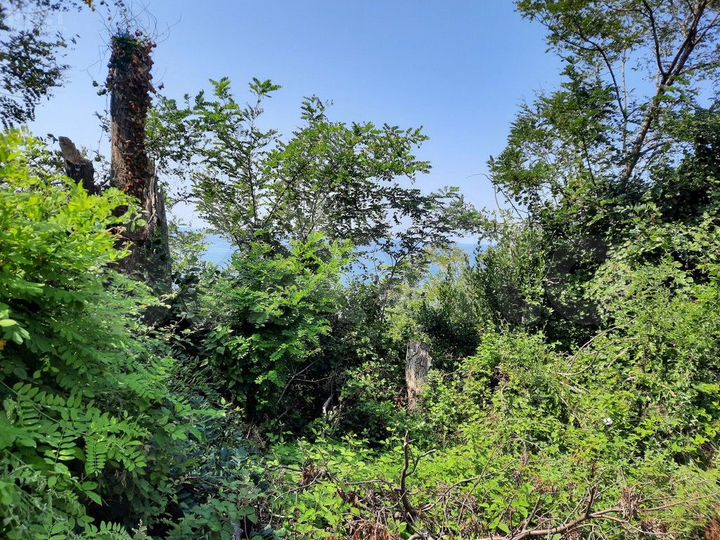 Участок 6 сот. (ИЖС)