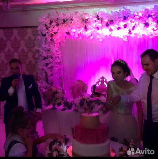 Ведущий Тамада на свадьбу юбилей, диджей Караоке