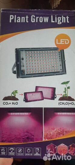 Фитолампа для растений