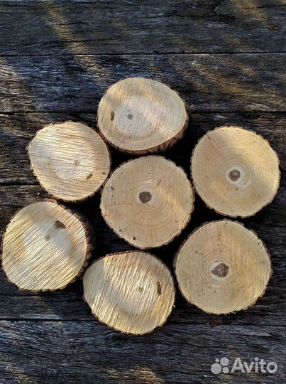 Спилы дерева