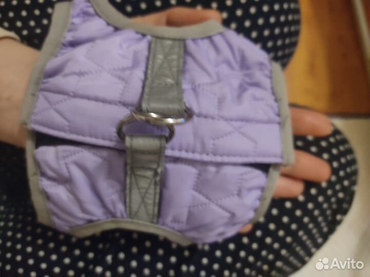 Корм для кошек Шлейка игрушки