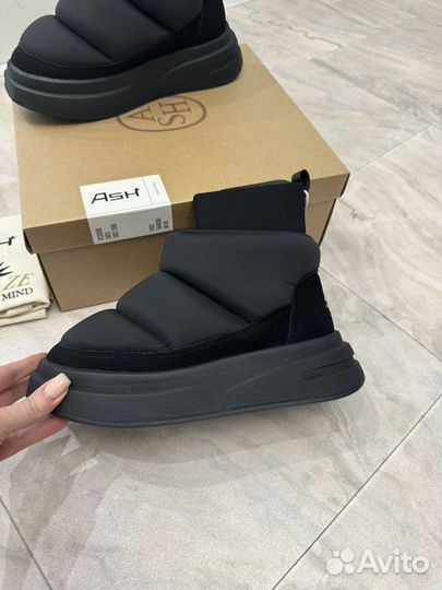 Новые дутики Ash indoor 39