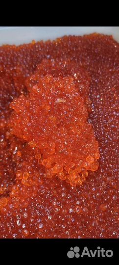 Красная икра кеты 2023