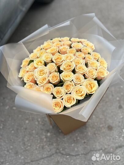 Букет красивых роз цветы 25 35 51 101