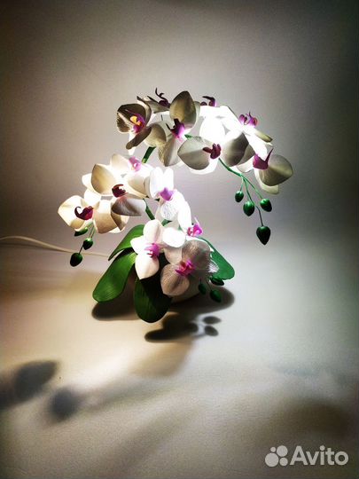 Орхидея