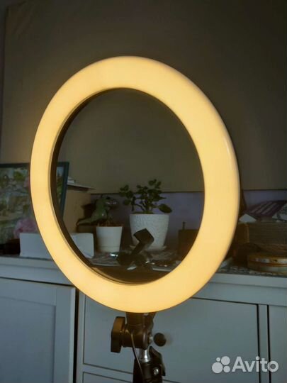 Кольцевая лампа со штативом